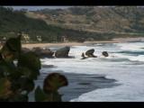 Barbados Bathsheba Rocks 2011